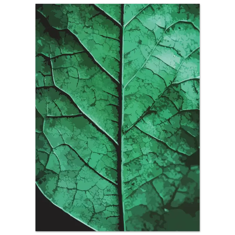 Une feuille verte détaillée et vibrante avec des motifs de veines complexes et une surface légèrement texturée.