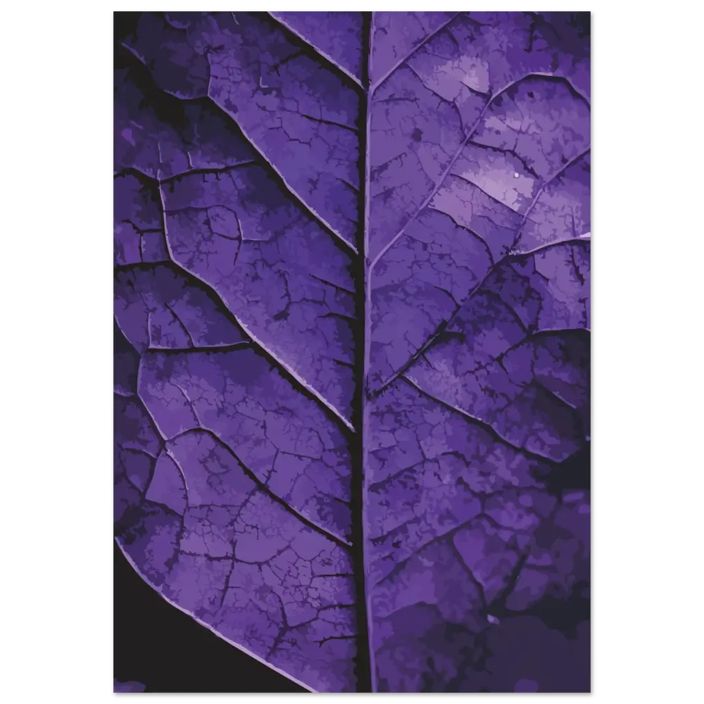 Un gros plan d’une feuille violette foncée avec des nervures craquelées complexes et une surface texturée.