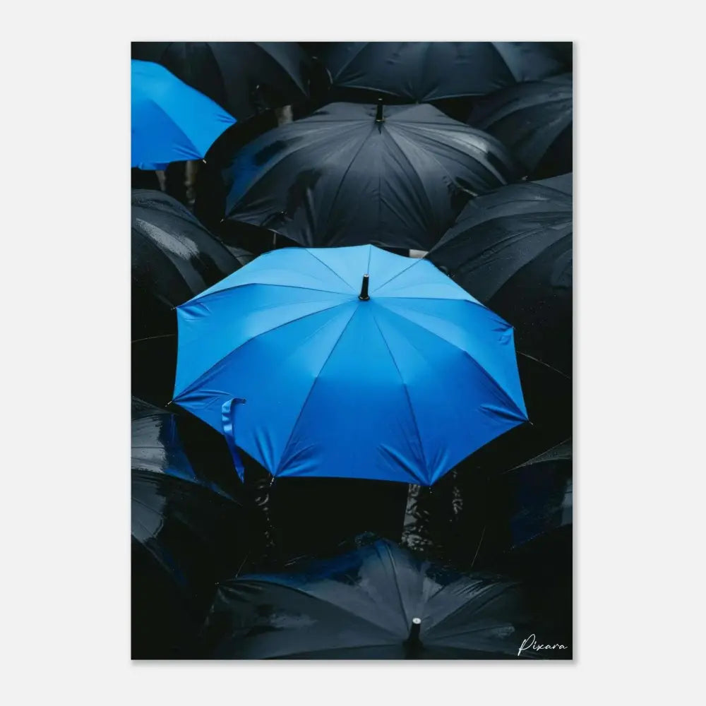 Un parapluie bleu vibrant se distingue au milieu d’une mer de parapluies noirs.