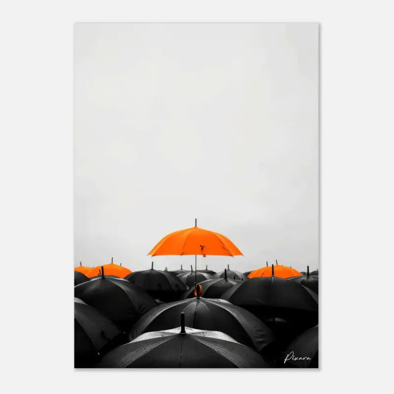 Un unique parapluie orange vibrant se distingue parmi une mer de parapluies noirs dans cette estampe artistique minimaliste.
