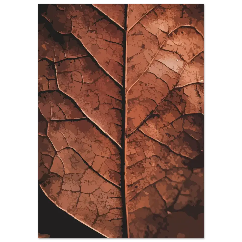 Une feuille sèche détaillée, d’une teinte brun riche et de motifs de veines complexes.
