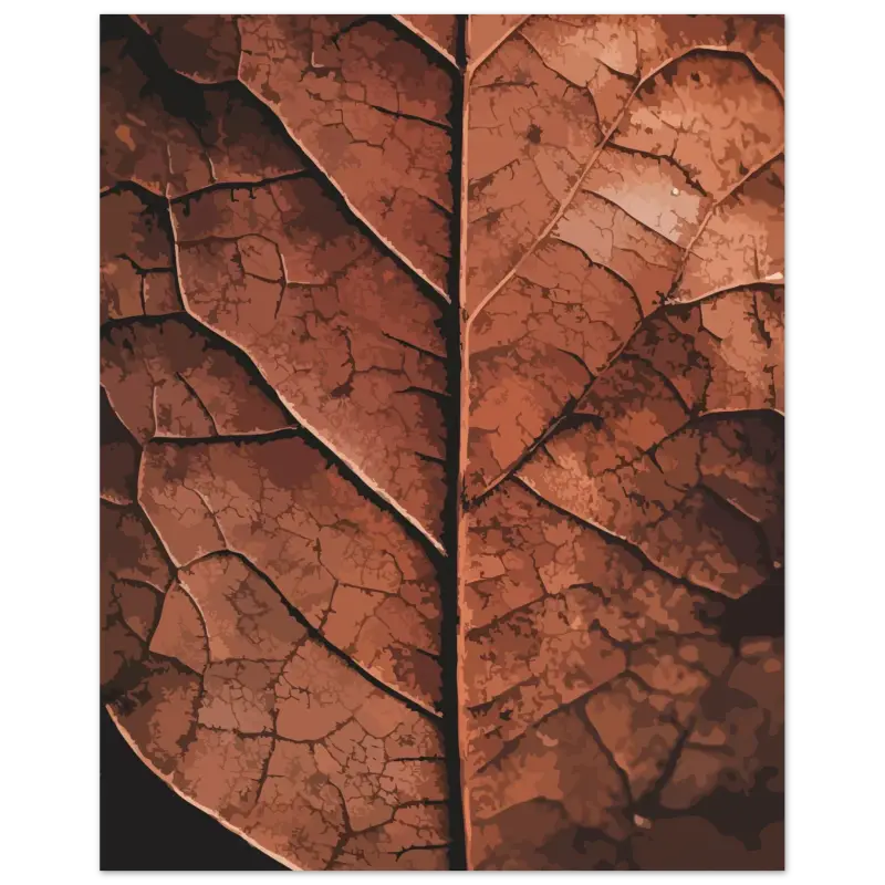 Une feuille sèche détaillée avec une veine brune complexe et une texture craquelée.