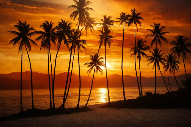 Papier Peint Panoramique Tropique: Paradise Sunset - Essential 150g/m² (à encoller) - papier peints