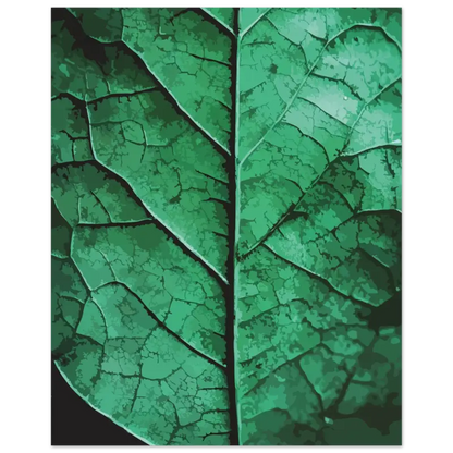 Un gros plan d’une feuille verte vibrante avec des motifs complexes semblables à des veines et des variations subtiles de texture.