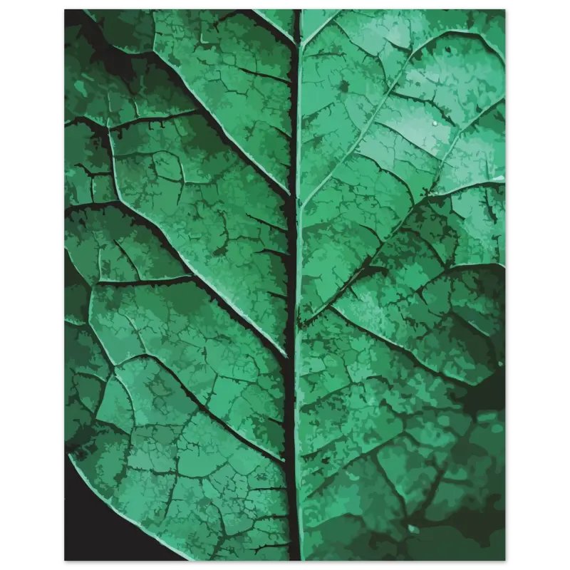 Un gros plan d’une feuille verte vibrante avec des motifs complexes semblables à des veines et des variations subtiles de texture.