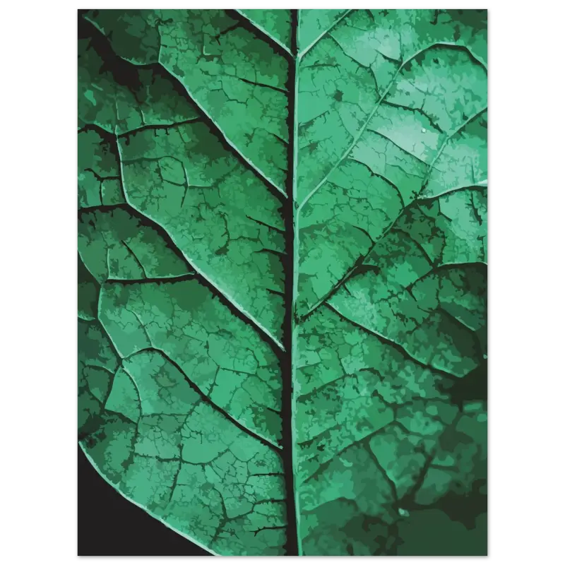 Une feuille verte détaillée et vibrante avec des motifs de veines complexes et une surface légèrement texturée.