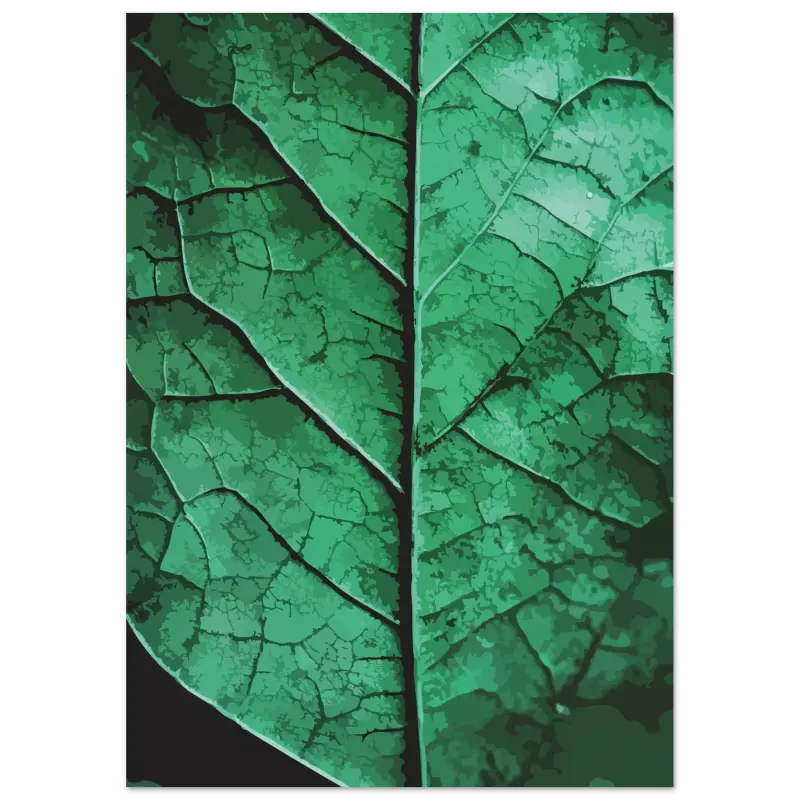 Une feuille verte vibrante et détaillée avec des motifs de veines complexes et une surface légèrement texturée.