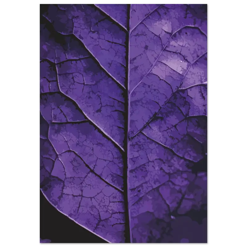Un gros plan d’une feuille violette foncée avec des nervures craquelées complexes et une surface texturée.