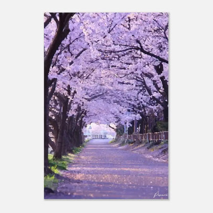 Un chemin serein bordé d’arbres de cerisiers en fleurs, leurs délicates fleurs roses et blanches formant une douce canopée au-dessus.