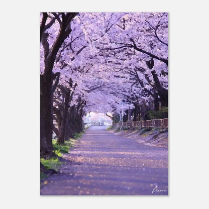 Un chemin serein bordé d’arbres de cerisiers en fleurs, leurs délicates fleurs roses et blanches formant une douce canopée au-dessus.