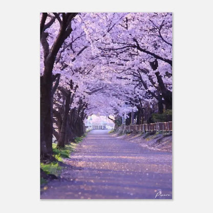 Un chemin serein bordé d’arbres de cerisiers en fleurs, leurs délicates fleurs roses et blanches formant une douce canopée au-dessus.