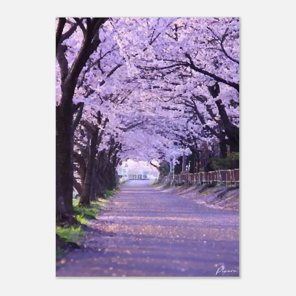 Un chemin serein bordé d’arbres de cerisiers en fleurs, leurs délicates fleurs roses et blanches formant une douce canopée au-dessus.