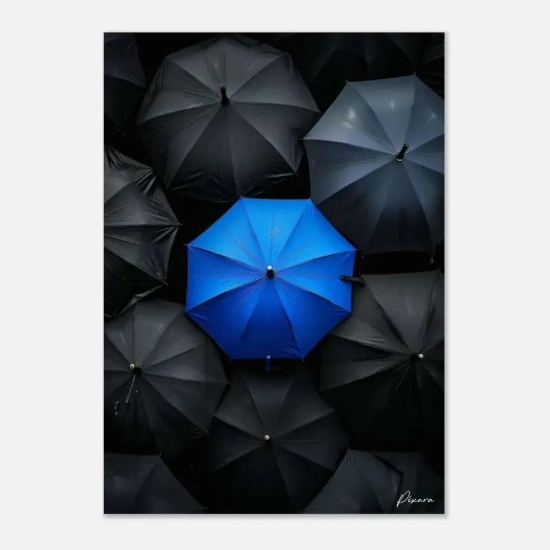 Un parapluie bleu vibrant se distingue sur un fond de parapluies noirs.