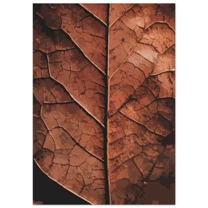 Une feuille sèche détaillée, d’une teinte brun riche et de motifs de veines complexes.
