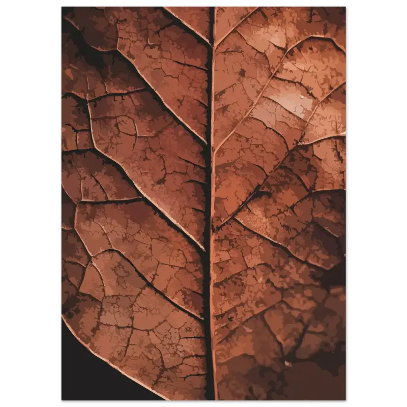 Une feuille séchée détaillée, d’une teinte brun riche et de motifs de veines complexes.