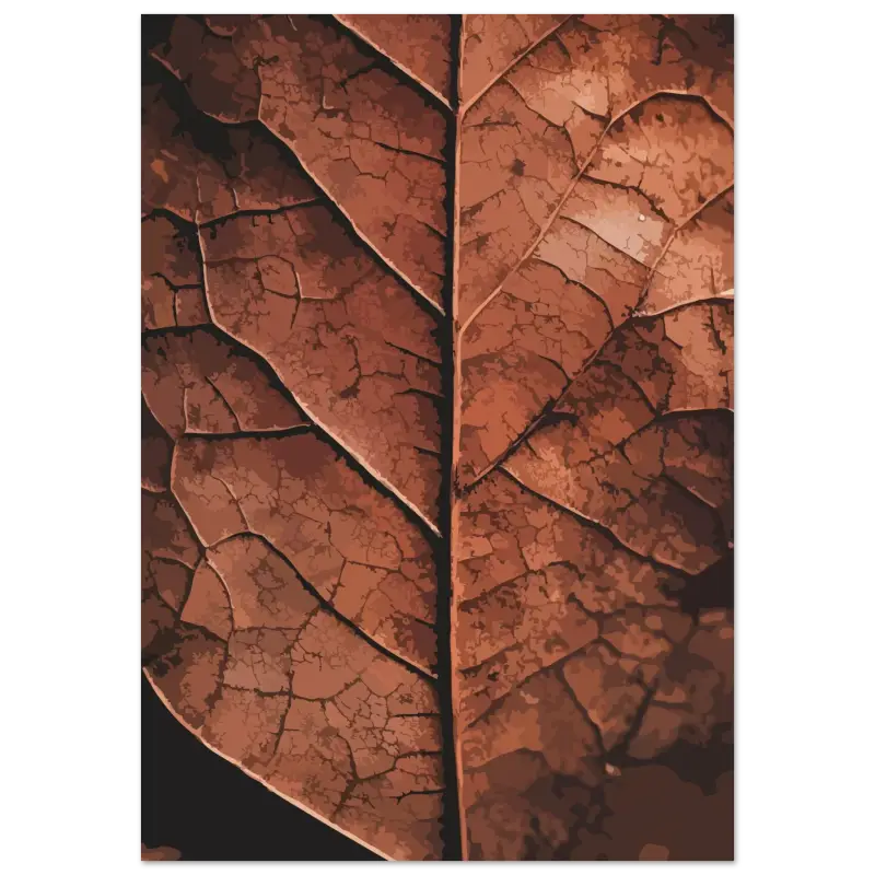 Une feuille séchée détaillée avec une teinte brun riche et des motifs de veines complexes.