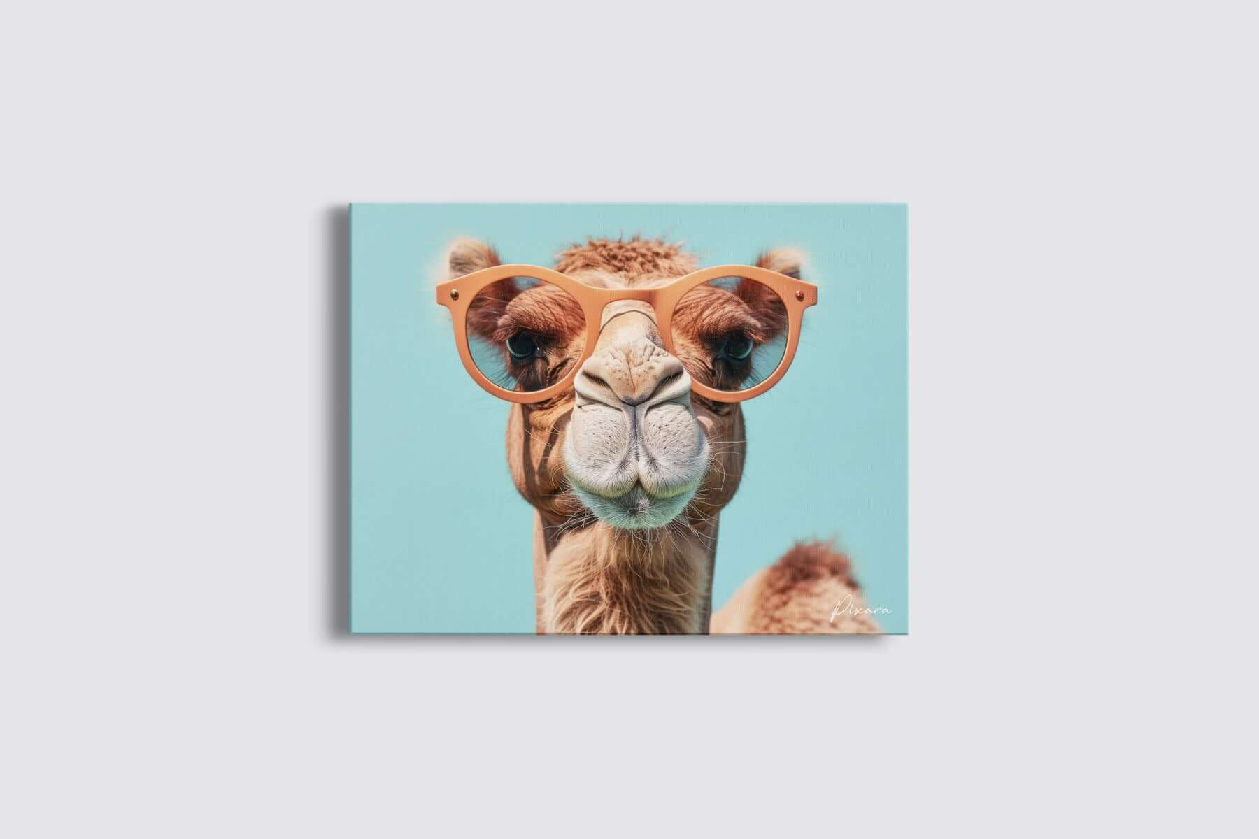 Affiche murale artistique – design | Pixara